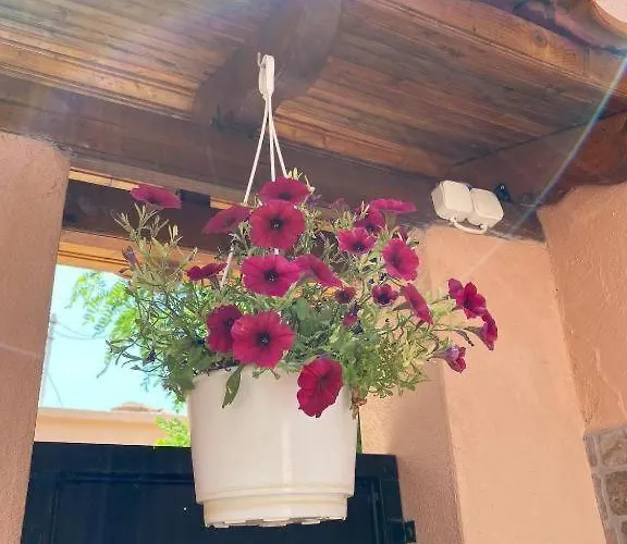 Appartement Ano Poli 5